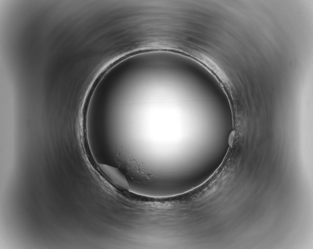 X0000096450996200801241415