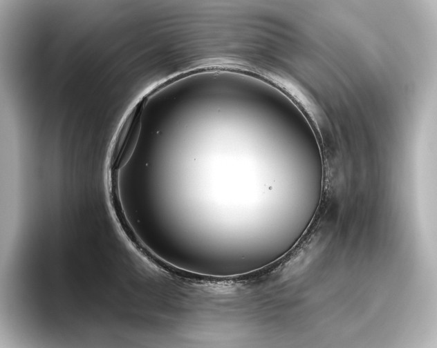 X0000096450999200801241415