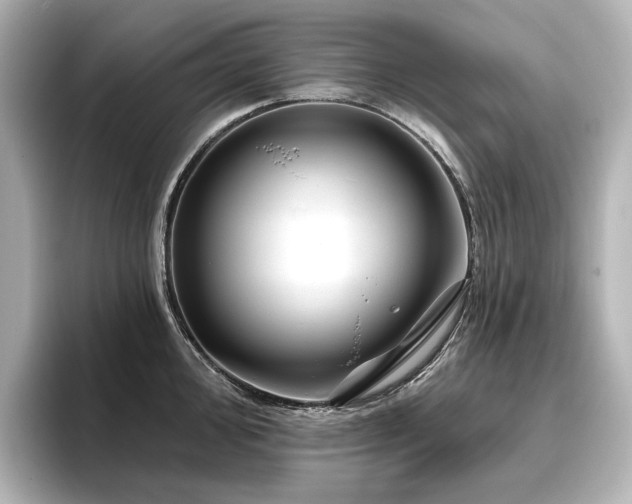 X0000096451000200801241415