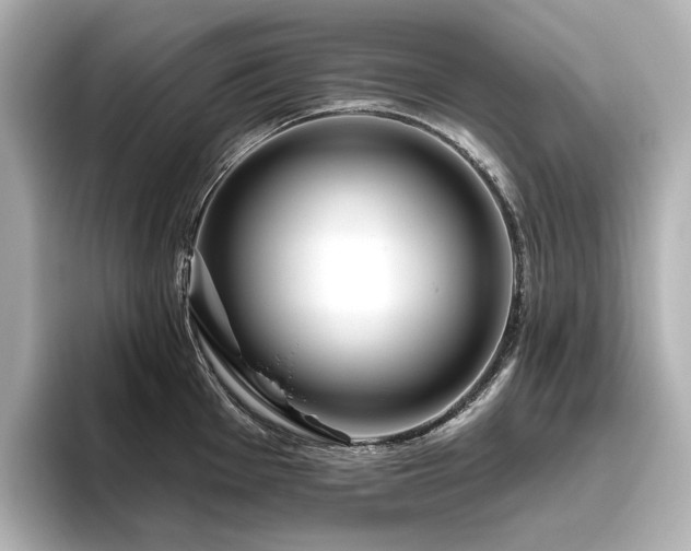 X0000096451001200801241415