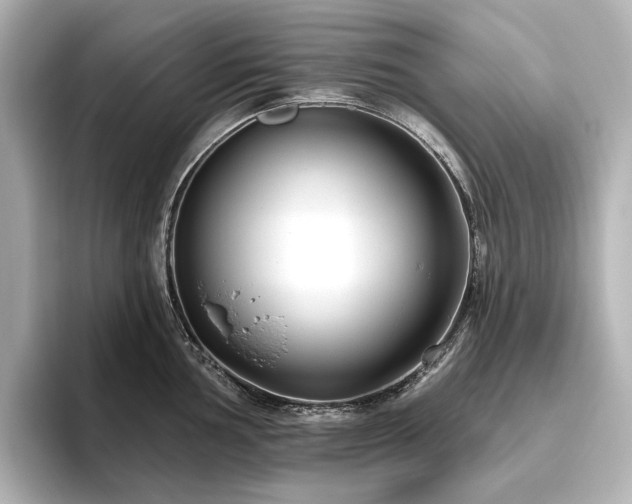 X0000096451002200801241415