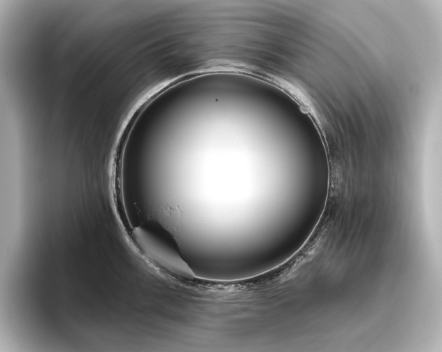 X0000096451003200801241415