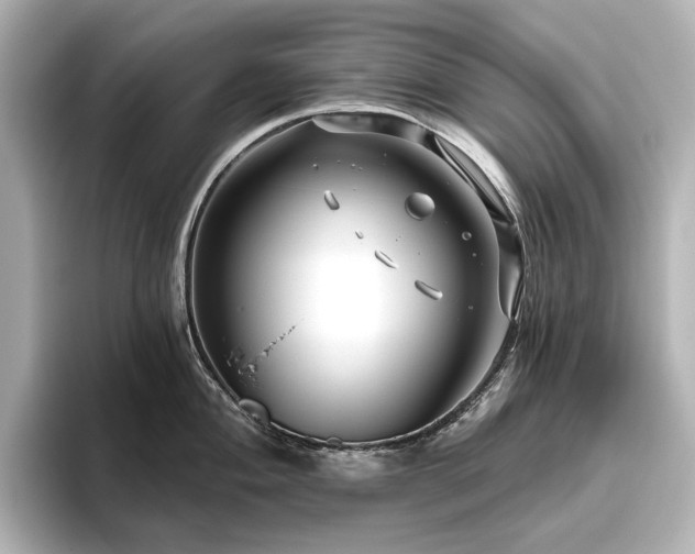 X0000096451004200801241415