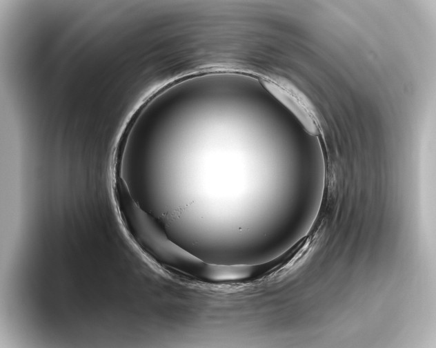 X0000096451005200801241415