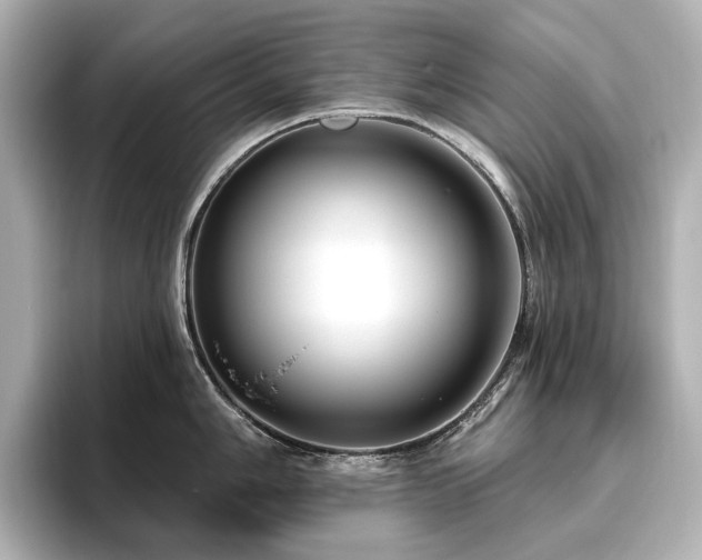 X0000096451006200801241415