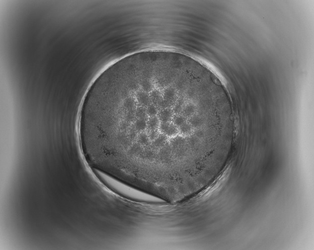 X0000096451007200801241415