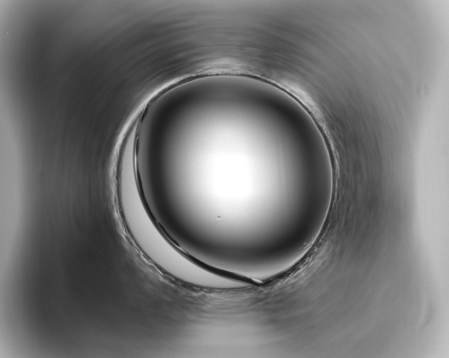 X0000096451008200801241415