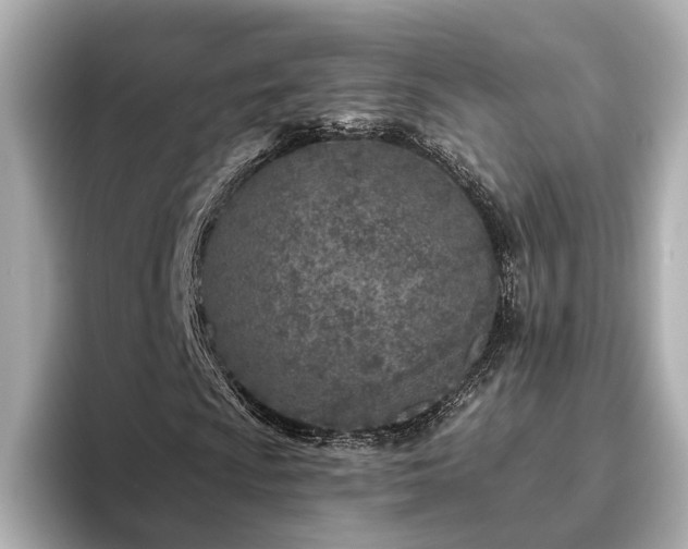 X0000096451009200801241414