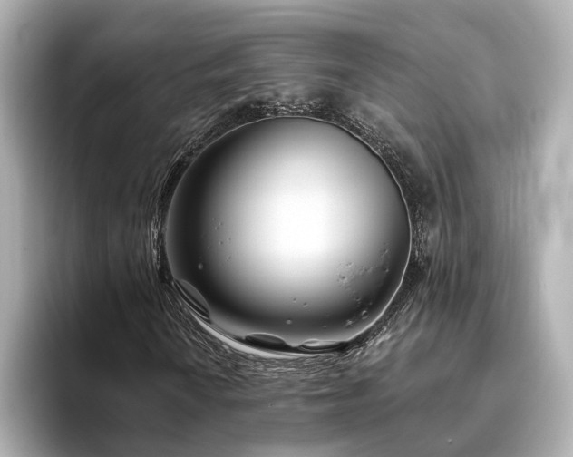 X0000096451010200801241414