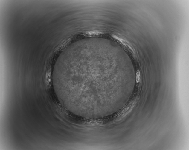 X0000096451011200801241414