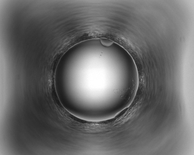 X0000096451012200801241414