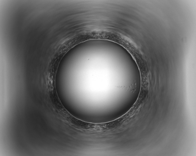 X0000096451013200801241414