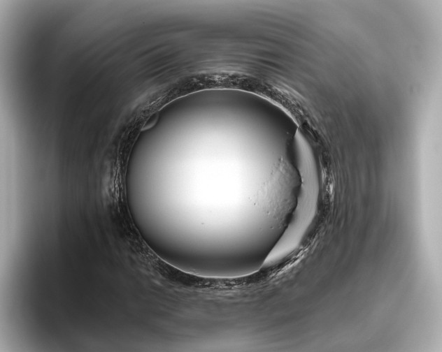 X0000096451014200801241414