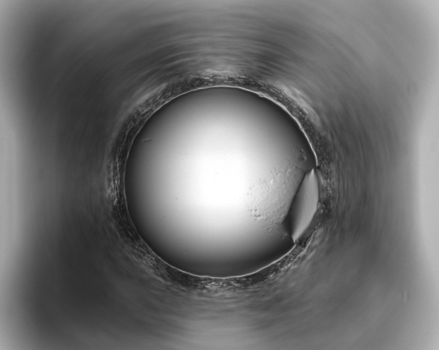 X0000096451015200801241414