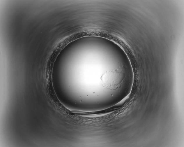 X0000096451016200801241414