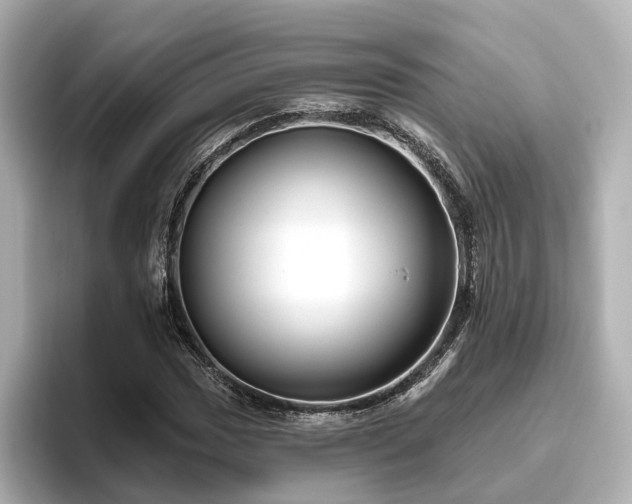 X0000096451017200801241414