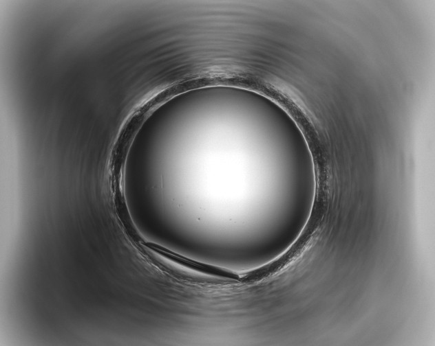 X0000096451018200801241414