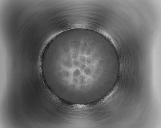 X0000096451019200801241414