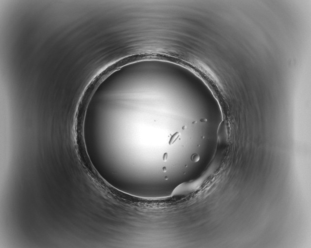 X0000096451020200801241414