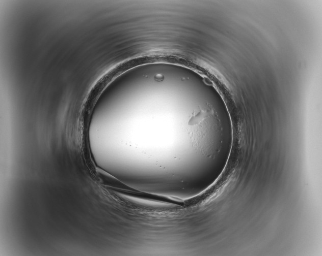 X0000096451021200801241414