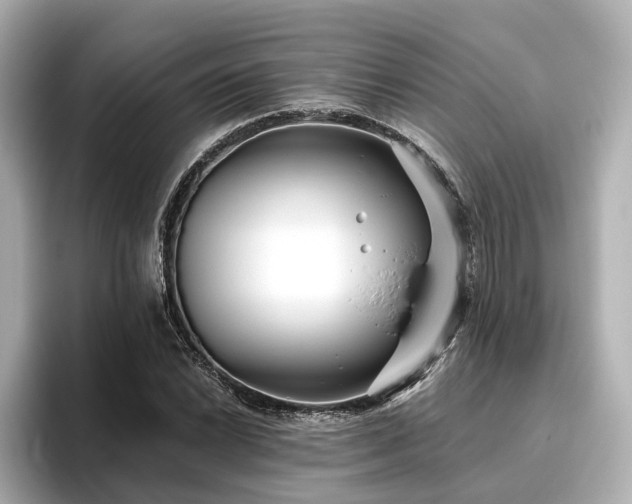 X0000096451022200801241414