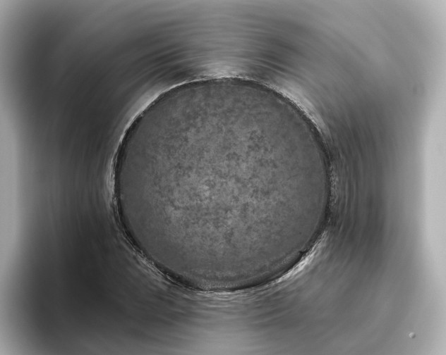X0000096451023200801241414