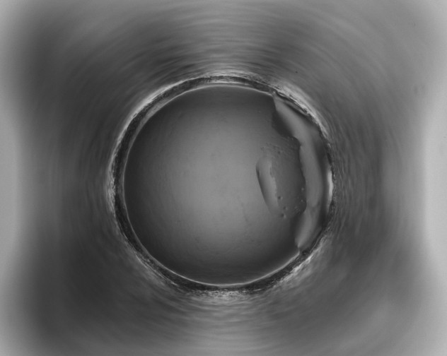 X0000096451024200801241414