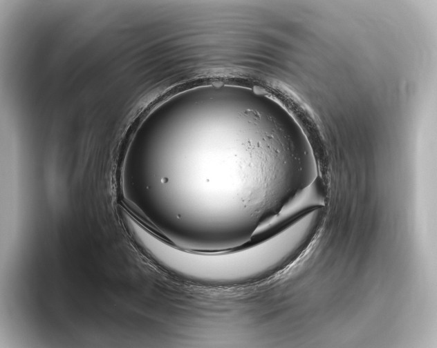X0000096451025200801241414