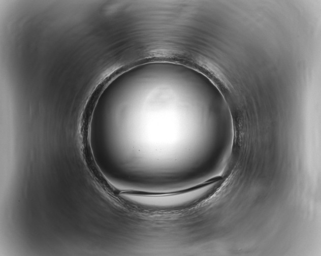 X0000096451026200801241414
