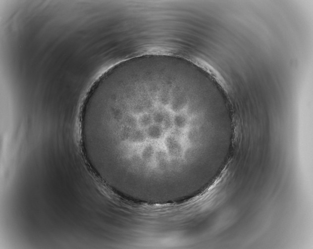 X0000096451027200801241414