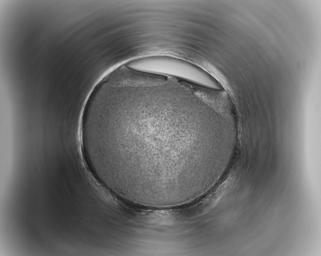 X0000096451028200801241414