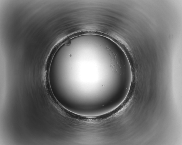 X0000096451029200801241414