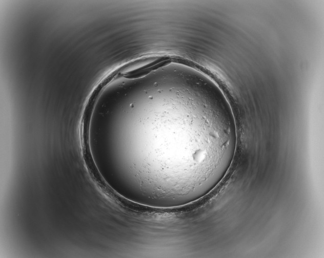 X0000096451030200801241414