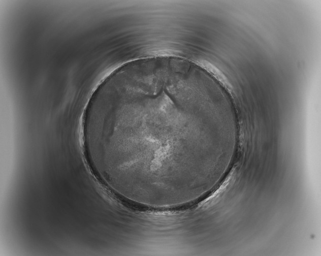 X0000096451031200801241414