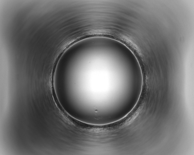 X0000096451033200801241414