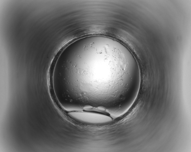 X0000096451034200801241414