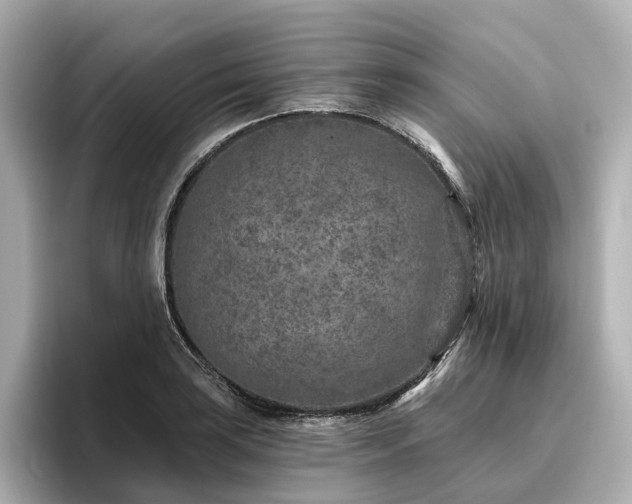 X0000096451035200801241414