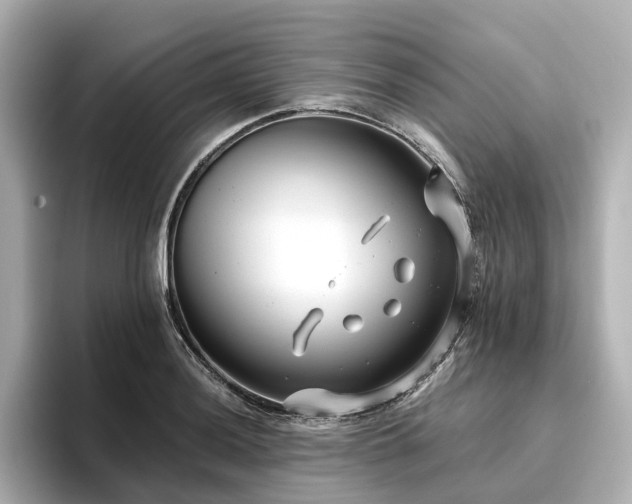X0000096451036200801241414
