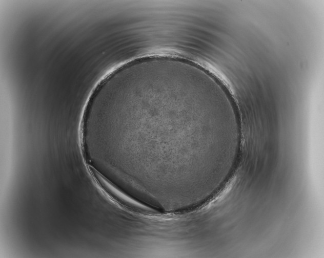 X0000096451037200801241414