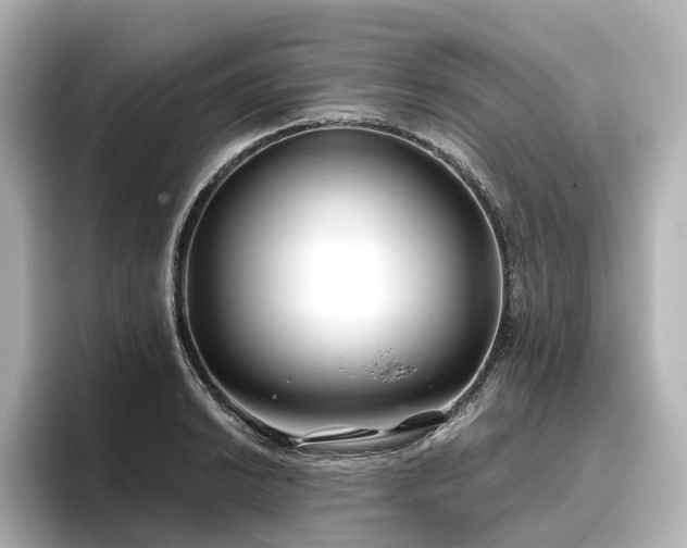 X0000096451038200801241414