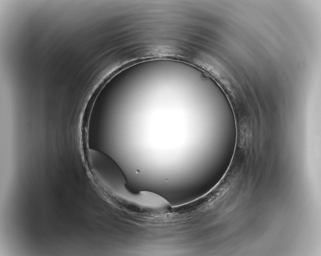 X0000096451039200801241414