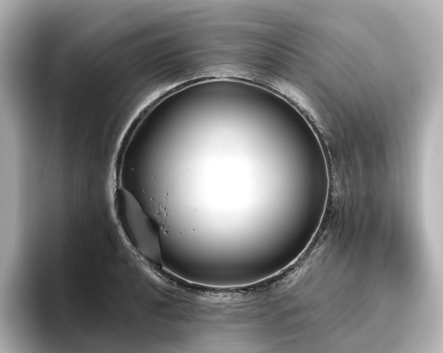 X0000096451040200801241414