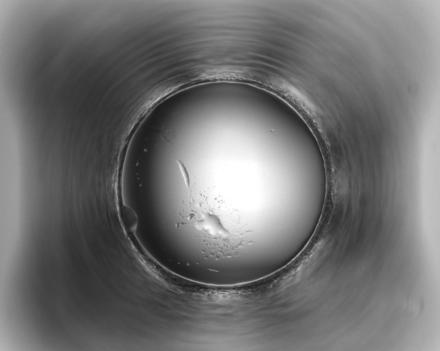 X0000096451041200801241414