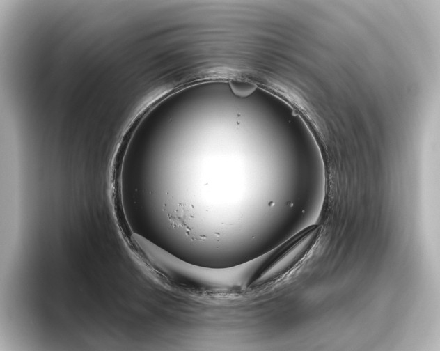 X0000096451042200801241414