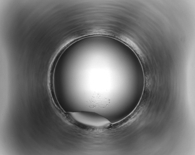X0000096451043200801241414