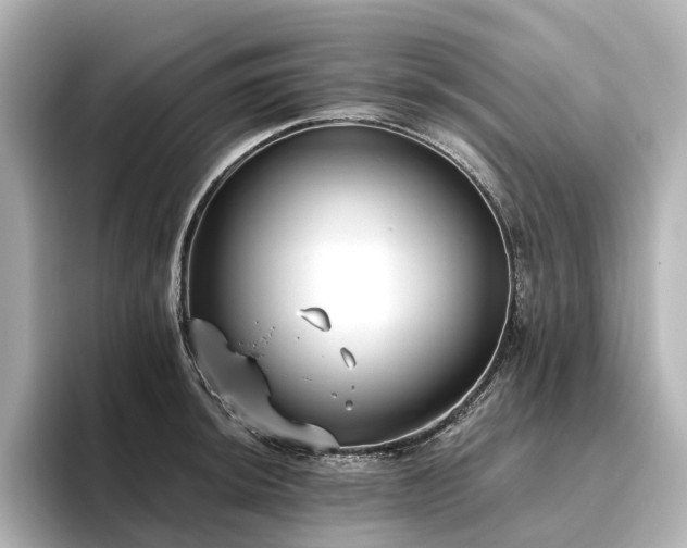 X0000096451044200801241414