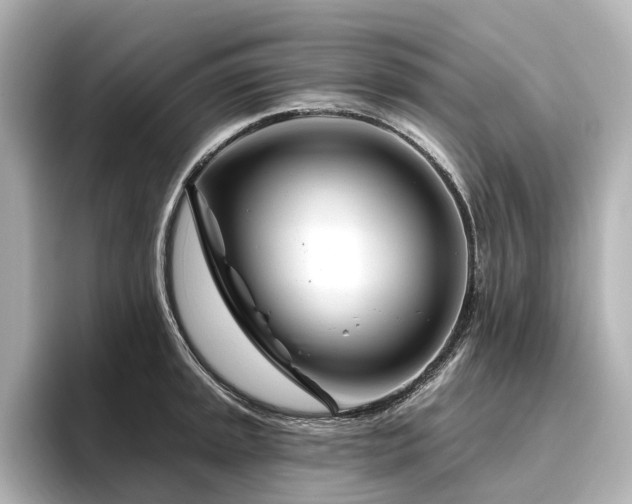 X0000096451045200801241414