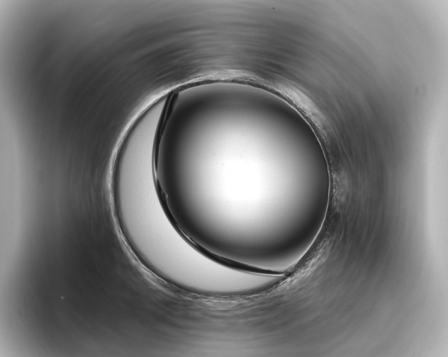 X0000096451046200801241415