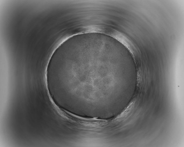 X0000096451047200801241415