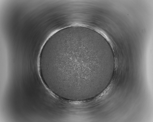 X0000096451048200801241415